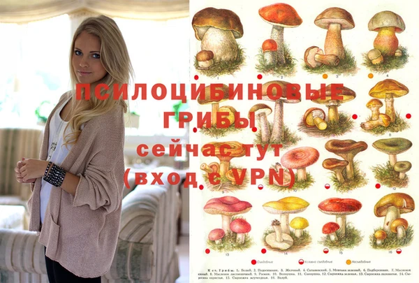 мескалин Приозерск