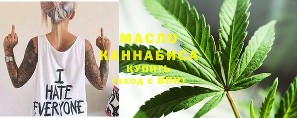 гидра Грязовец