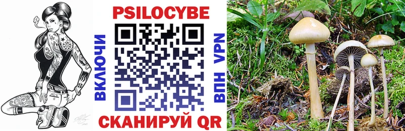 где купить наркотик  Соликамск  Псилоцибиновые грибы GOLDEN TEACHER 
