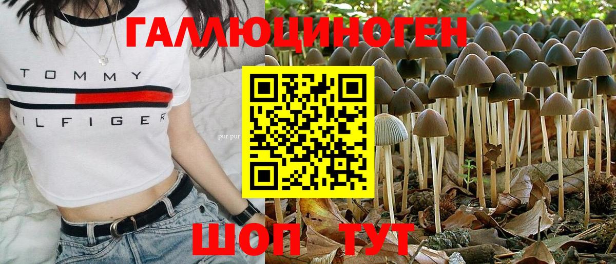 Псилоцибиновые грибы Cubensis  Псилоцибиновые грибы мицелий  Вход с VPN  Соликамск 